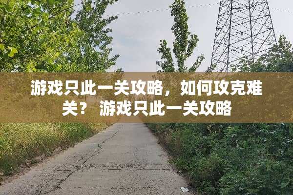 游戏只此一关攻略，如何攻克难关？ 游戏只此一关攻略