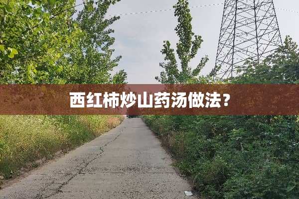 西红柿炒山药汤做法？