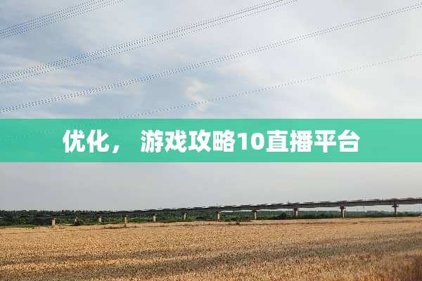 优化， 游戏攻略10直播平台