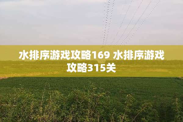 水排序游戏攻略169 水排序游戏攻略315关