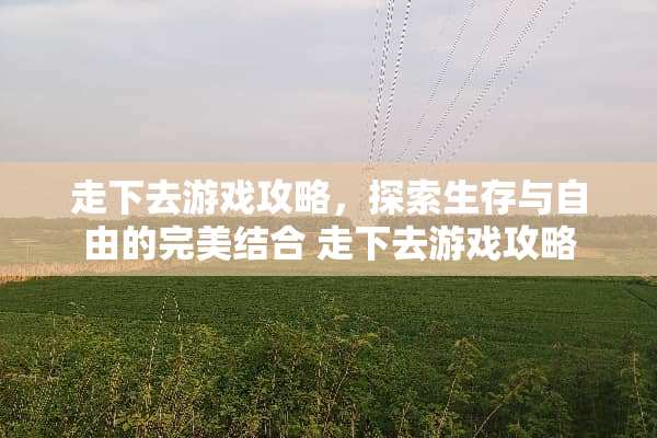 走下去游戏攻略，探索生存与自由的完美结合 走下去游戏攻略