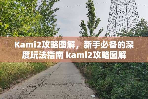 Kami2攻略图解，新手必备的深度玩法指南 kami2攻略图解