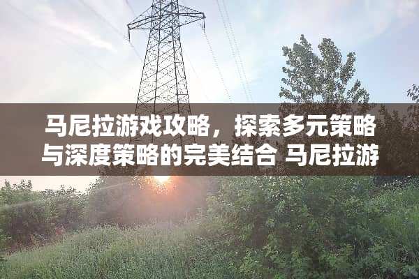 马尼拉游戏攻略，探索多元策略与深度策略的完美结合 马尼拉游戏攻略