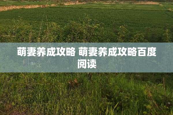 萌妻养成攻略 萌妻养成攻略百度阅读