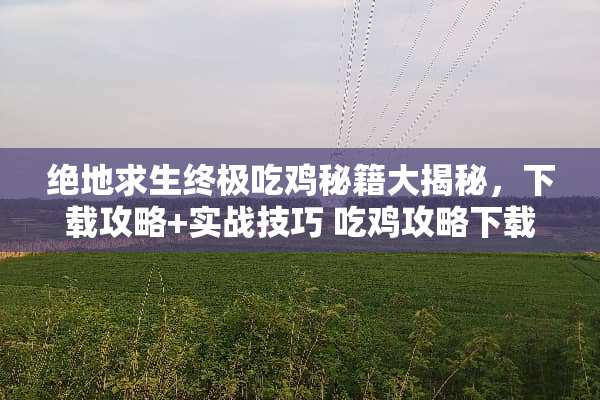 绝地求生终极吃鸡秘籍大揭秘，下载攻略+实战技巧 吃鸡攻略下载