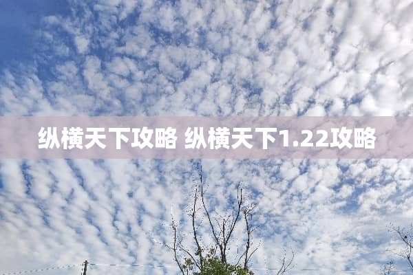 纵横天下攻略 纵横天下1.22攻略