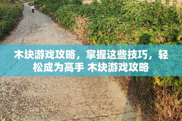 木块游戏攻略，掌握这些技巧，轻松成为高手 木块游戏攻略