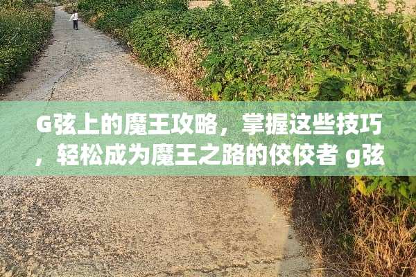 G弦上的魔王攻略，掌握这些技巧，轻松成为魔王之路的佼佼者 g弦上的魔王攻略