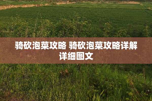 骑砍泡菜攻略 骑砍泡菜攻略详解详细图文