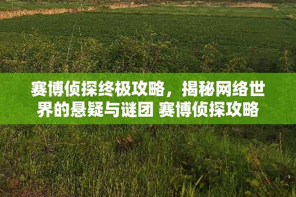 赛博侦探终极攻略，揭秘网络世界的悬疑与谜团 赛博侦探攻略