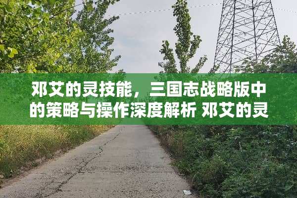 邓艾的灵技能，三国志战略版中的策略与操作深度解析 邓艾的灵技能