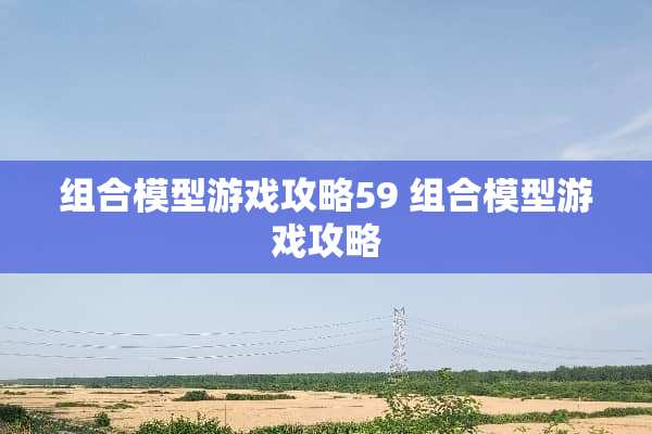 组合模型游戏攻略59 组合模型游戏攻略