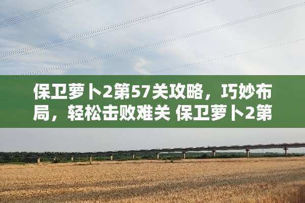 保卫萝卜2第57关攻略，巧妙布局，轻松击败难关 保卫萝卜2第57关攻略