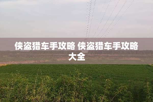 侠盗猎车手攻略 侠盗猎车手攻略大全