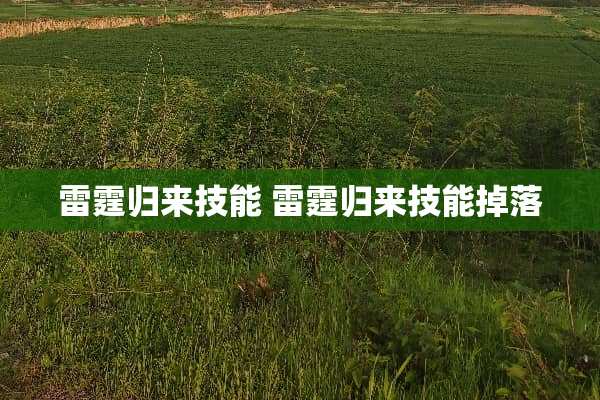 **归来技能 **归来技能掉落