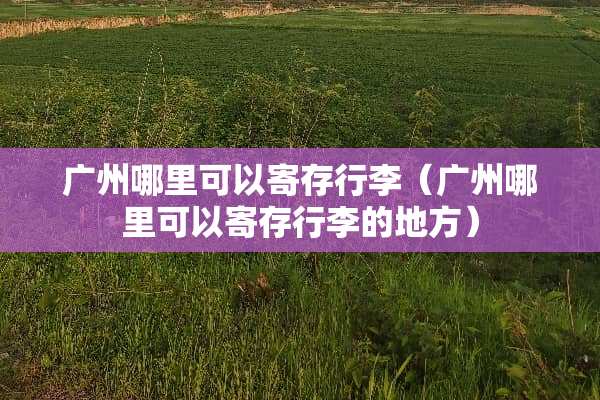 广州哪里可以寄存行李（广州哪里可以寄存行李的地方）