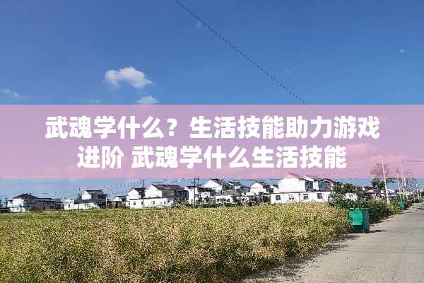 武魂学什么？生活技能助力游戏进阶 武魂学什么生活技能