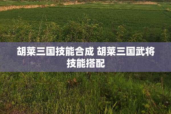 胡莱三国技能合成 胡莱三国武将技能搭配