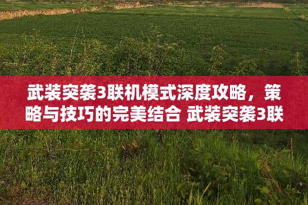 武装突袭3联机模式深度攻略，策略与技巧的完美结合 武装突袭3联机游戏攻略