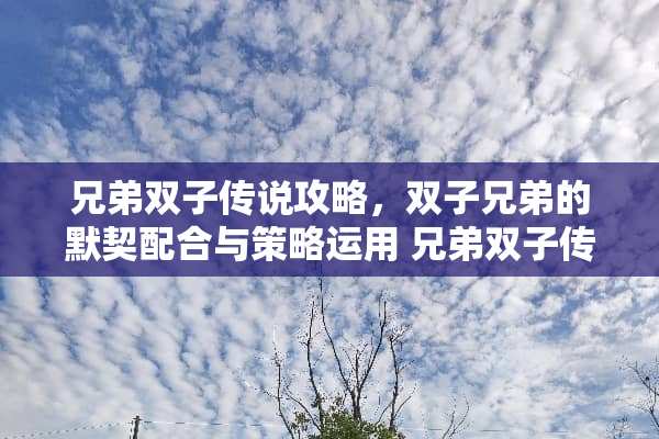 兄弟双子传说攻略，双子兄弟的默契配合与策略运用 兄弟双子传说攻略