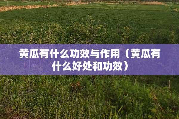 黄瓜有什么功效与作用（黄瓜有什么好处和功效）