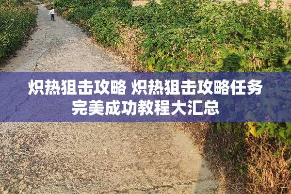 炽热**攻略 炽热**攻略任务完美成功教程大汇总