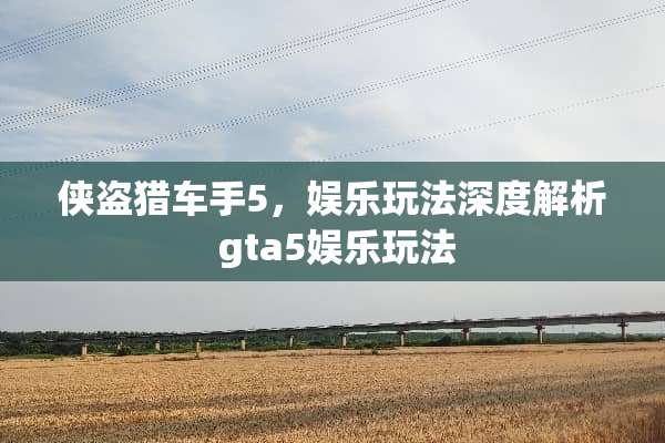 侠盗猎车手5，娱乐玩法深度解析 gta5娱乐玩法