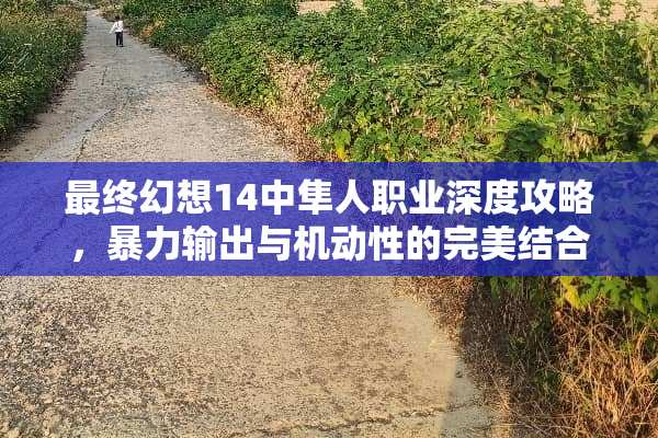 最终幻想14中隼人职业深度攻略，**输出与机动性的完美结合 游戏人物隼人攻略