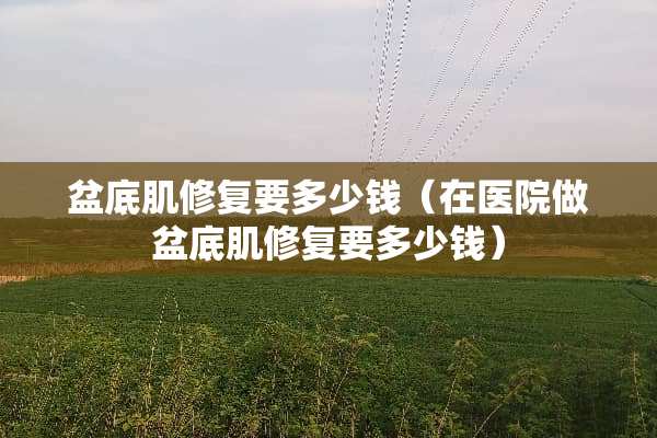 盆底肌修复要多少钱（在医院做盆底肌修复要多少钱）