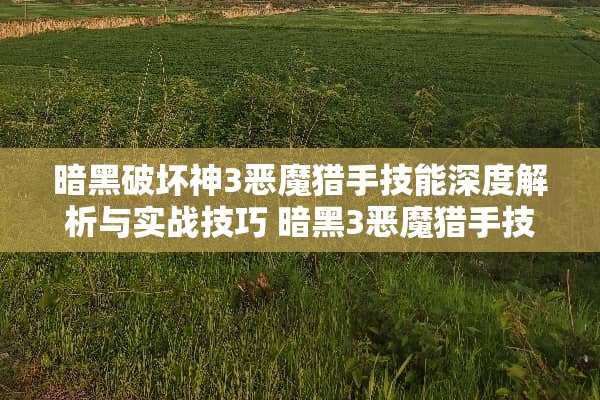 暗黑破坏神3恶魔猎手技能深度解析与实战技巧 暗黑3恶魔猎手技能