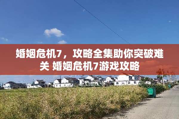 婚姻危机7，攻略全集助你突破难关 婚姻危机7游戏攻略
