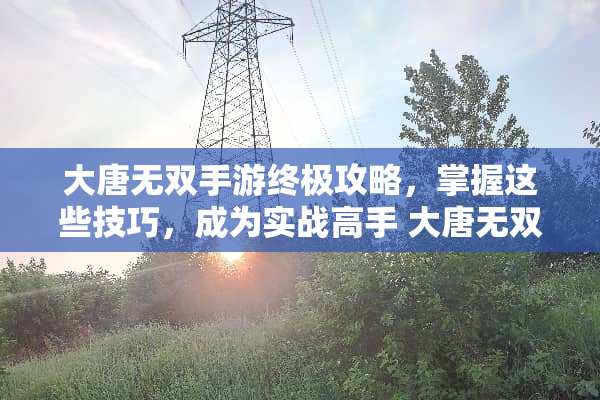 大唐无双手游终极攻略，掌握这些技巧，成为实战高手 大唐无双手游攻略