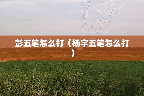 彭五笔怎么打（杨字五笔怎么打）