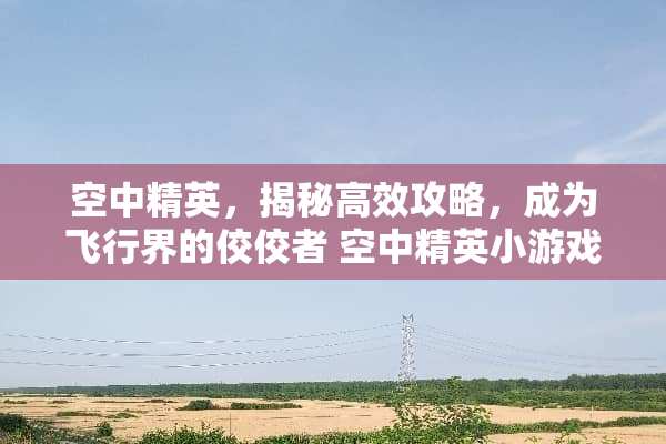 空中精英，揭秘高效攻略，成为飞行界的佼佼者 空中精英小游戏攻略