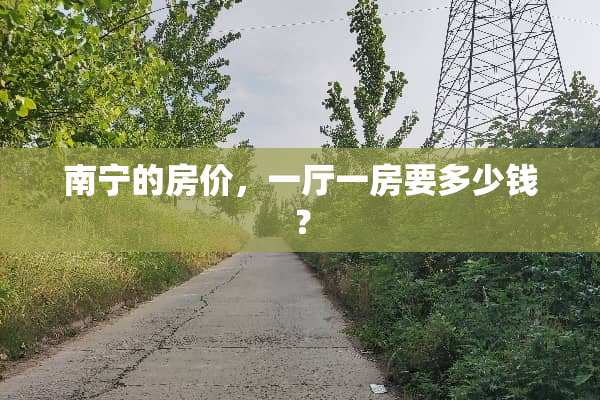 南宁的房价，一厅一房要多少钱？