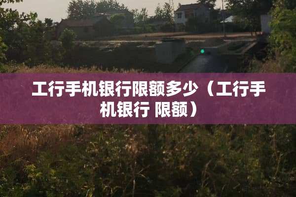 工行手机银行限额多少（工行手机银行 限额）