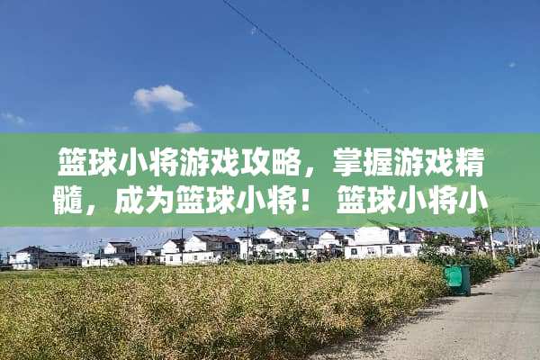 篮球小将游戏攻略，掌握游戏精髓，成为篮球小将！ 篮球小将小游戏攻略