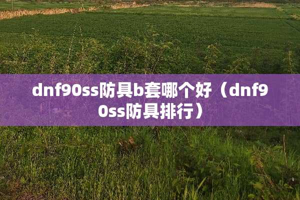 dnf90ss防具b套哪个好（dnf90ss防具排行）