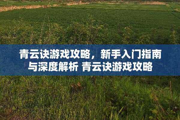 青云诀游戏攻略，新手入门指南与深度解析 青云诀游戏攻略