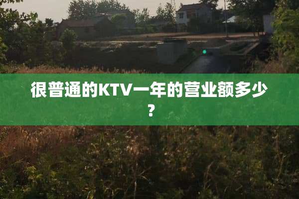 很普通的KTV一年的营业额多少？