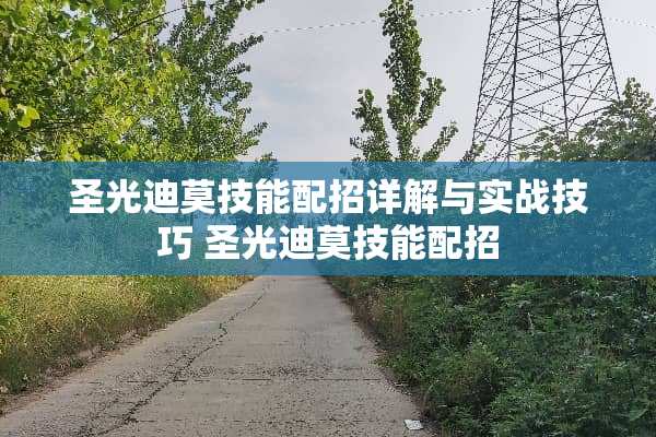 圣光迪莫技能配招详解与实战技巧 圣光迪莫技能配招