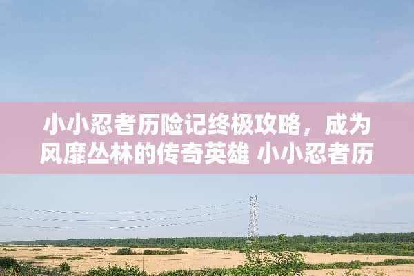 小小忍者历险记终极攻略，成为风靡丛林的传奇英雄 小小忍者历险记攻略