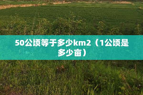 50公顷等于多少km2（1公顷是多少亩）