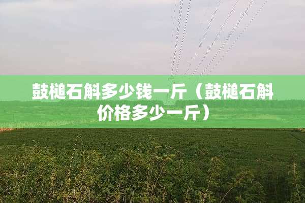鼓槌石斛多少钱一斤（鼓槌石斛价格多少一斤）