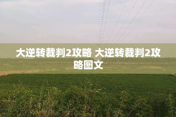 大逆转裁判2攻略 大逆转裁判2攻略图文