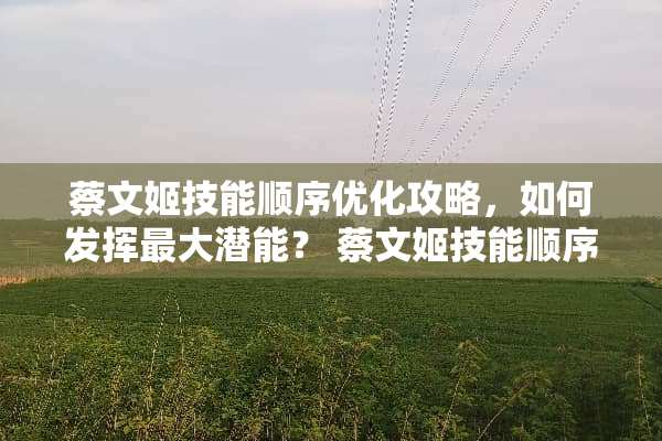 蔡文姬技能顺序优化攻略，如何发挥最大潜能？ 蔡文姬技能顺序
