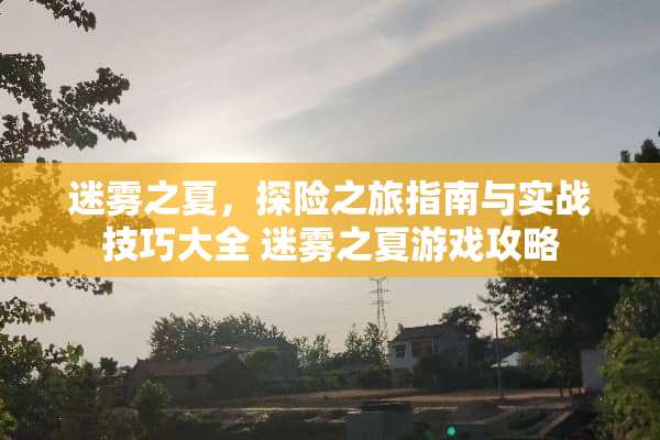 迷雾之夏，探险之旅指南与实战技巧大全 迷雾之夏游戏攻略