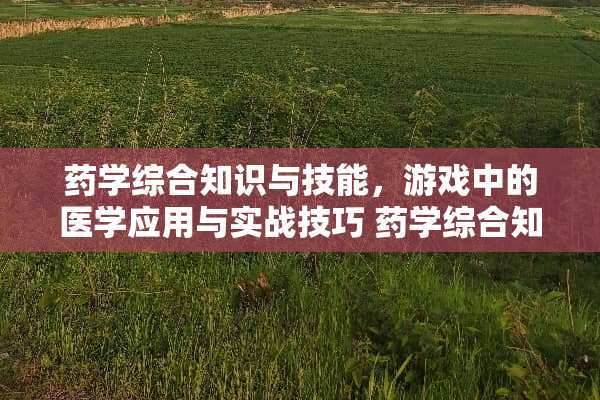 药学综合知识与技能，游戏中的医学应用与实战技巧 药学综合知识与技能