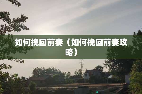 如何挽回前妻（如何挽回前妻攻略）