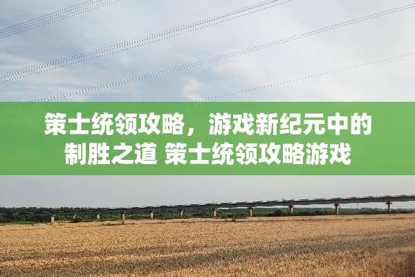 策士统领攻略，游戏新纪元中的制胜之道 策士统领攻略游戏
